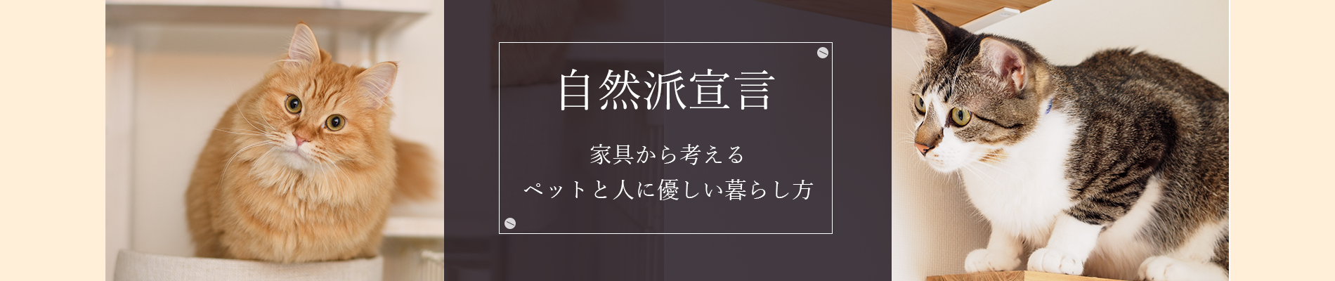 家具工房ナチュラルリビング　千葉県柏市でオーダー家具・隙間収納、ペット用家具、リフォームについてお任せ下さい